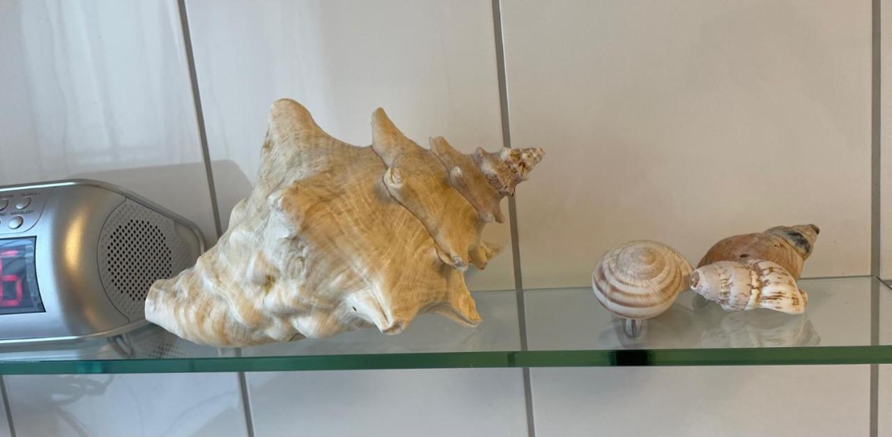 Casa Ingrid Διαμέρισμα Βίρτσμπουργκ Εξωτερικό φωτογραφία